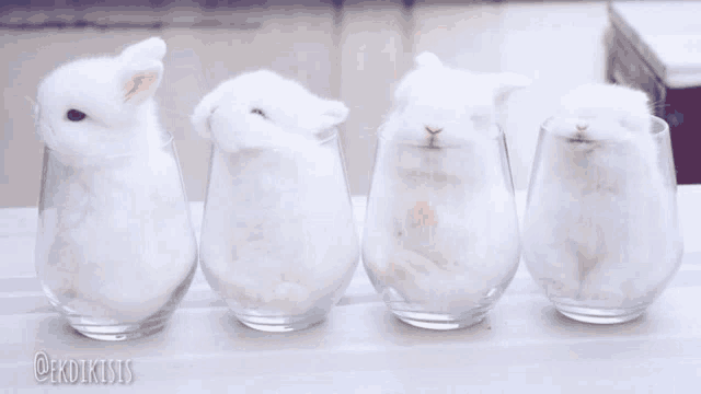 four small white rabbits are sitting in a row in glasses