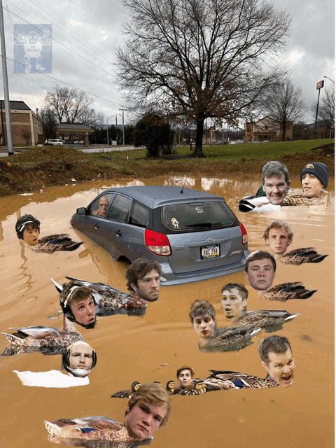 a picture of a car in a flooded area with ducks and people 's faces