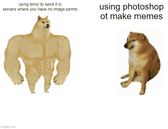 a picture of a muscular dog next to a picture of a sad dog that says using photoshop ot make memes