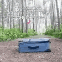 a blue suitcase is sitting on top of a dirt road in the middle of a forest .