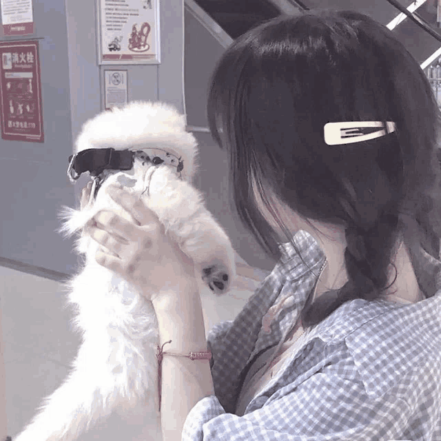 a girl is holding a small white dog in her arms ..