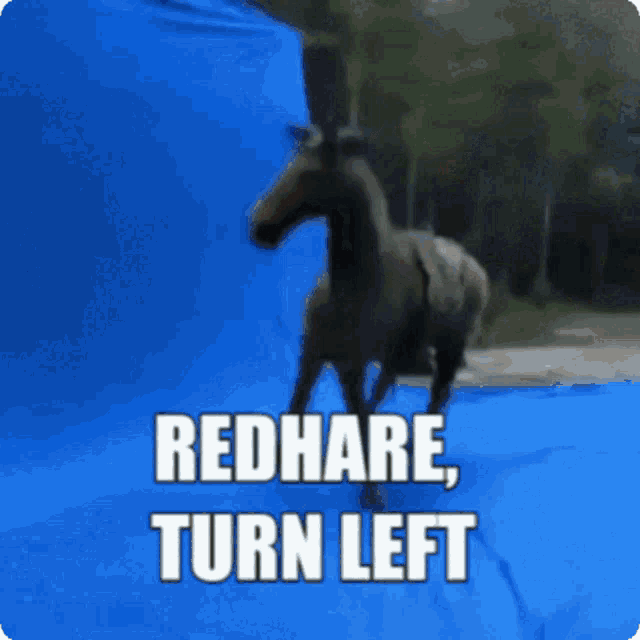 a picture of a horse with the words redhare turn left written on it