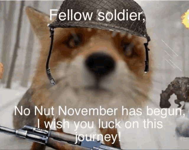 a dog wearing a helmet and holding a gun with the words " fellow soldier " above it