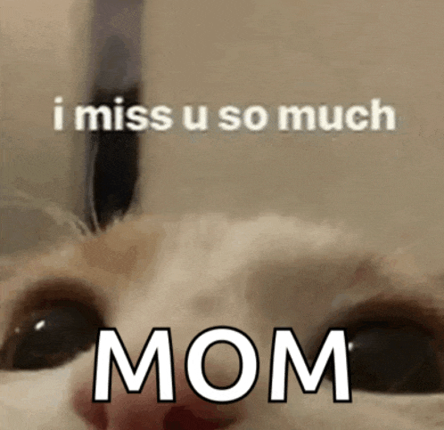 a close up of a cat 's face with a caption that says i miss u so much mom .