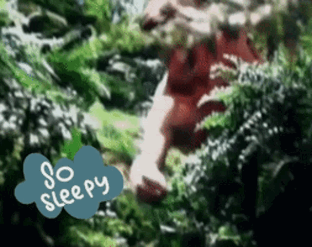 a picture of a squirrel with a so sleepy sticker on it