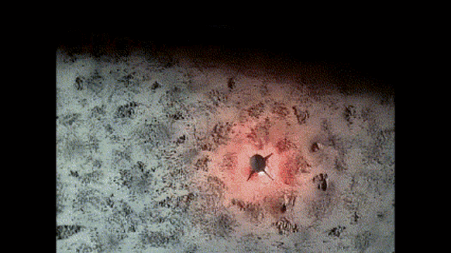 a spider is crawling on a surface with a red light behind it