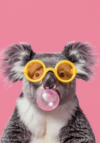 a koala bear wearing sunglasses blowing a pink bubble