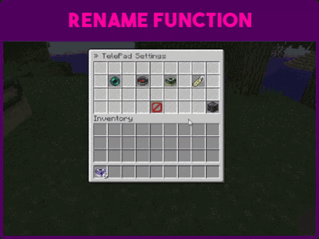 a screenshot of a rename function on a minecraft server