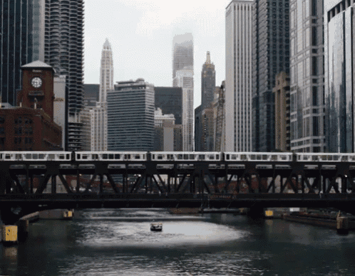 a bridge over a river with a train going over it