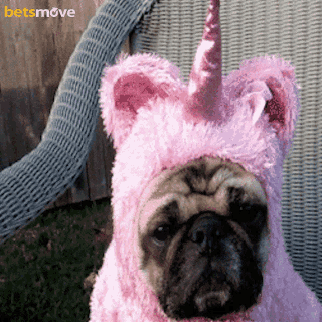 a pug wearing a pink unicorn costume with a betsmove logo in the background