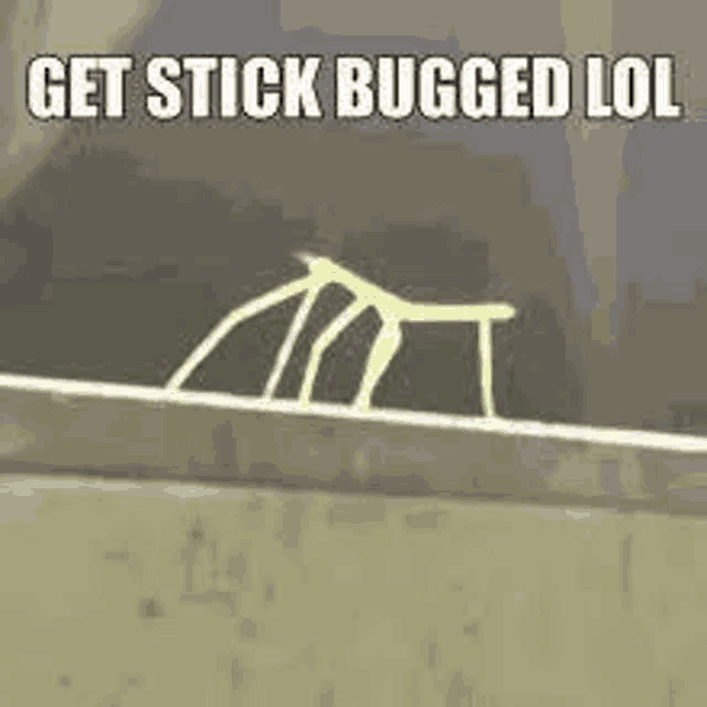 a cartoon of a bug crawling down a wall with the words `` get stick bugged lol '' .