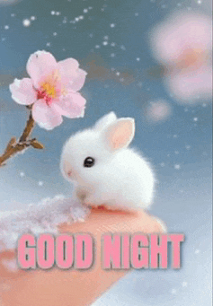a small white rabbit is sitting on a person 's finger with a pink flower .