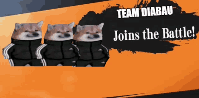 three shiba inu dogs are standing next to each other with the words team diabau joins the battle behind them