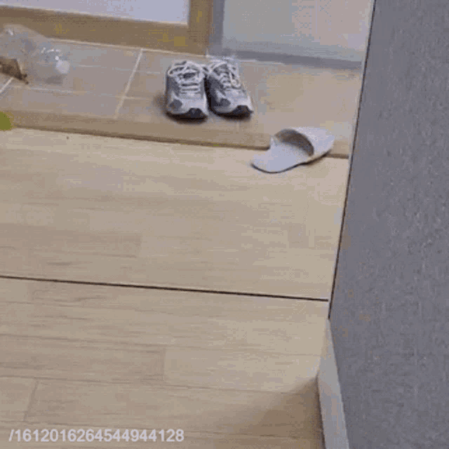 a cat is standing on its hind legs in front of a mirror with the date 16120162454944128 on the bottom right