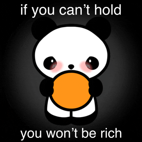 a panda bear with an orange in its mouth and the words if you can 't hold you won 't be rich below it