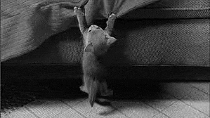 a black and white photo of a kitten hanging upside down from a bed .