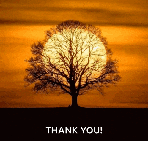 a tree is silhouetted against a sunset and the words thank you are below it