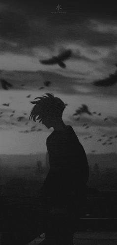 a black and white photo of a person standing in front of a flock of birds in the sky .