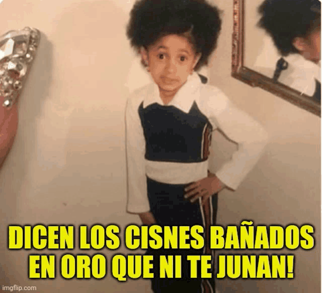 a picture of a young girl with the caption " dicen los cisnes banados en oro que ni te junan "