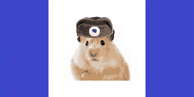 a small hamster wearing a hat with a blue leaf on it
