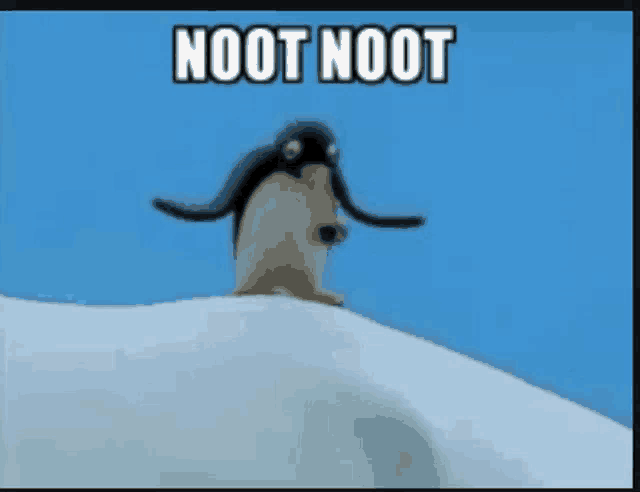 a penguin is standing on top of a snow covered hill with the words noot noot written on the bottom