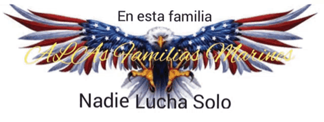 a bald eagle with the words en esta familia nadie lucha solo