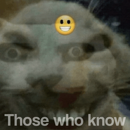 a picture of a cat with a smiley face on it and the words those who know below it