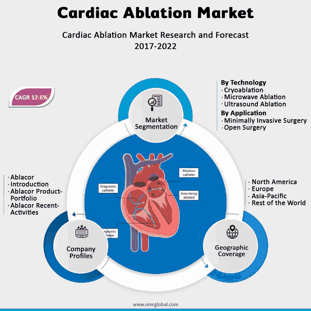 a diagram of the cardiac ablation market research and forecast for 2017-2022