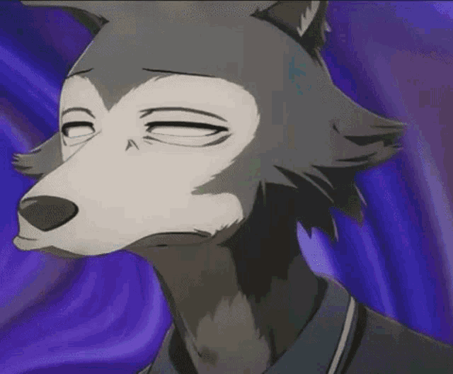 a close up of a wolf 's face with his eyes closed .
