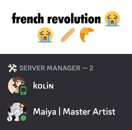 a screenshot of a french revolution server manager - 2 maiya master artist .