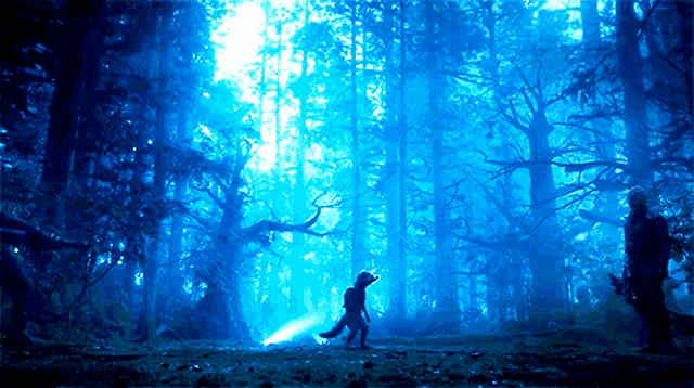 a silhouette of a person standing in a dark forest with a light shining through the trees