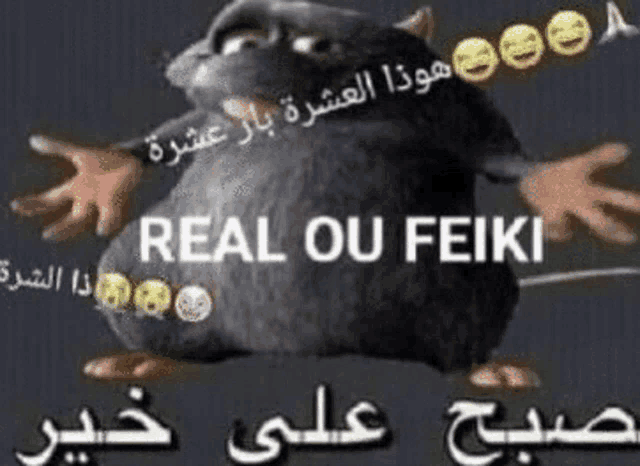 a picture of a cartoon rat with the words real ou feiki written on it