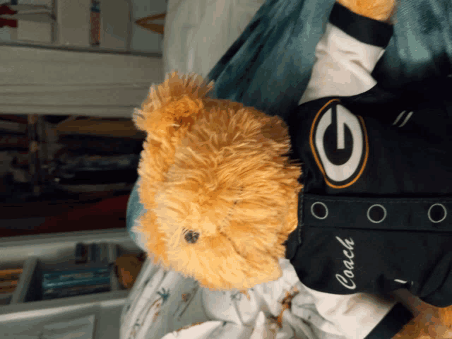 a brown teddy bear wearing a green bay packers jacket