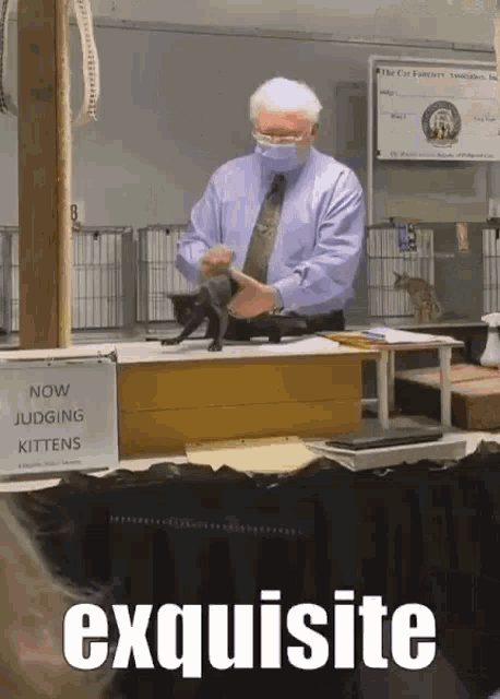 a man wearing a face mask is holding a kitten in front of a sign that says now judging kittens