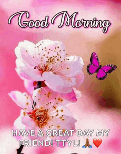 a good morning message with flowers and a butterfly on it