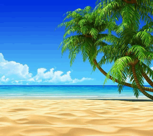 a tropical beach with palm trees and a blue sky