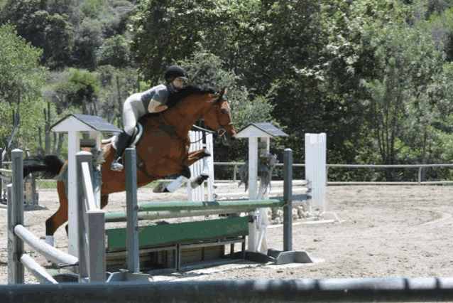 a person riding a brown horse jumping over a green pole