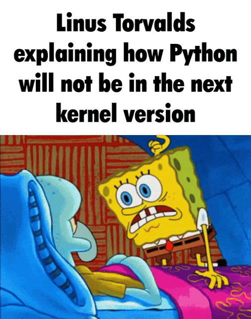 linus torvalds explaining how python will not be in the next kernel version with spongebob and squidward