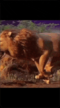 a painting of a lion running across the ground