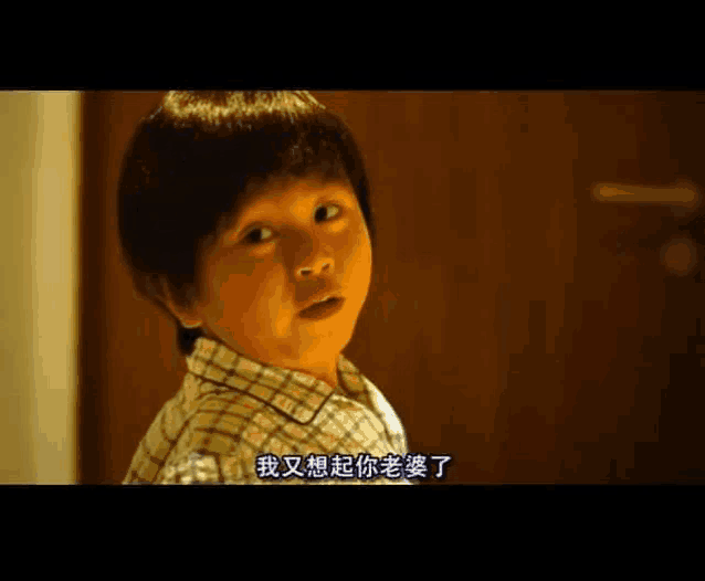 a young boy in a plaid shirt is standing in front of a door and talking in chinese .