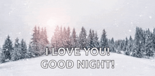 a snowy forest with trees covered in snow and the words `` i love you good night '' .