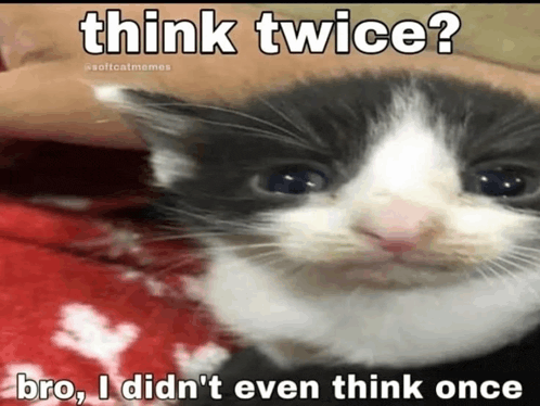 a black and white cat with the words think twice bro i did n't even think once