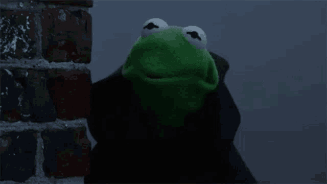 kermit the frog is wearing a black cloak and says evil laugh