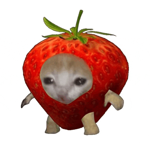 a strawberry with a cat 's face in the middle