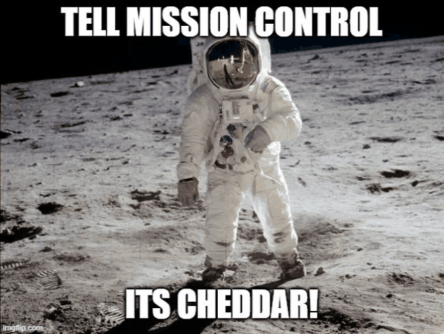 an astronaut walking on the moon with a caption that says tell mission control its cheddar