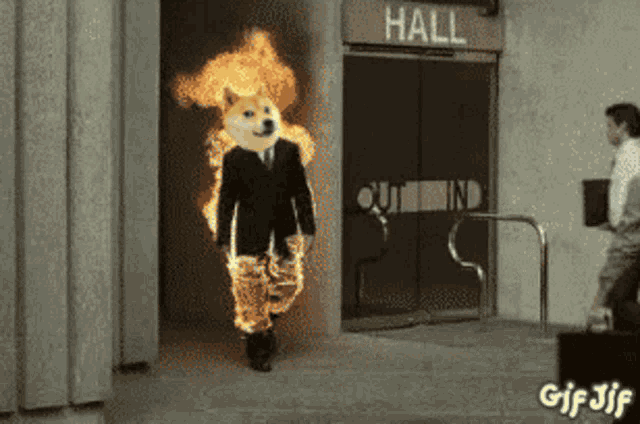 a doge in a suit and tie is on fire walking into a hallway