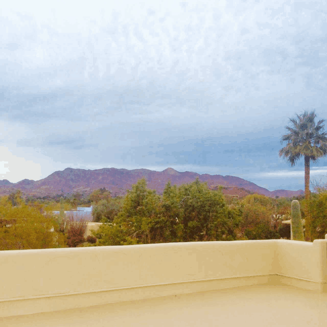 a view of a mountain range with a palm tree in the foreground