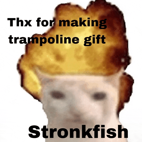 a picture of a cat with the words thx for making trampoline gift stronkfish on the bottom