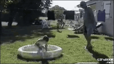 a little girl is playing in an inflatable pool .