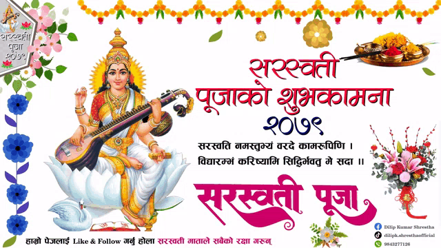 a poster with a woman playing a musical instrument with the year 2019 on it